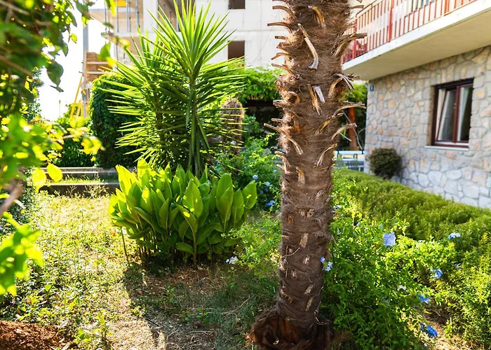 Apartmán House Mercedes Near The Selce